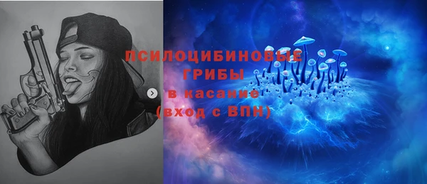 прущие крисы Заводоуковск